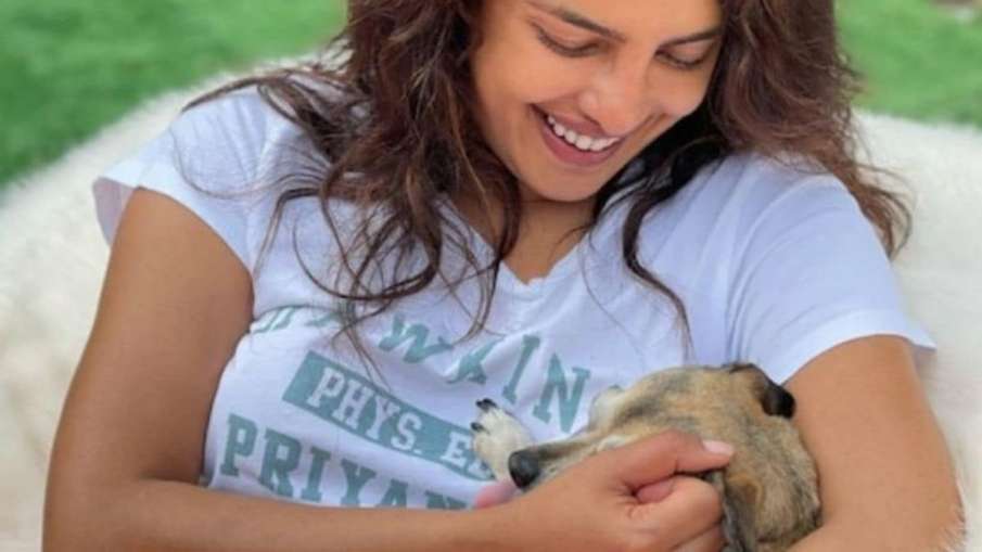 Priyanka chopra Priyanka chopra- India TV Hindi