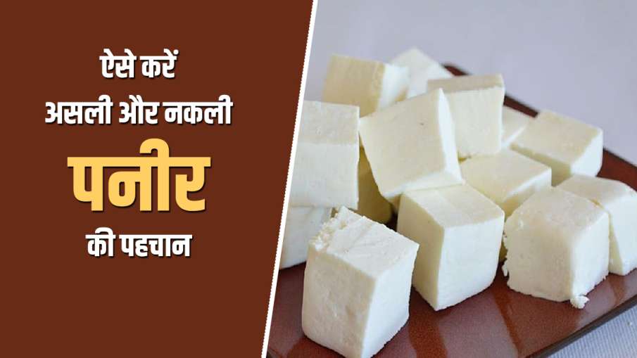 How To Check Purity Of Paneer How To Check Purity Of Paneer- India TV Hindi
