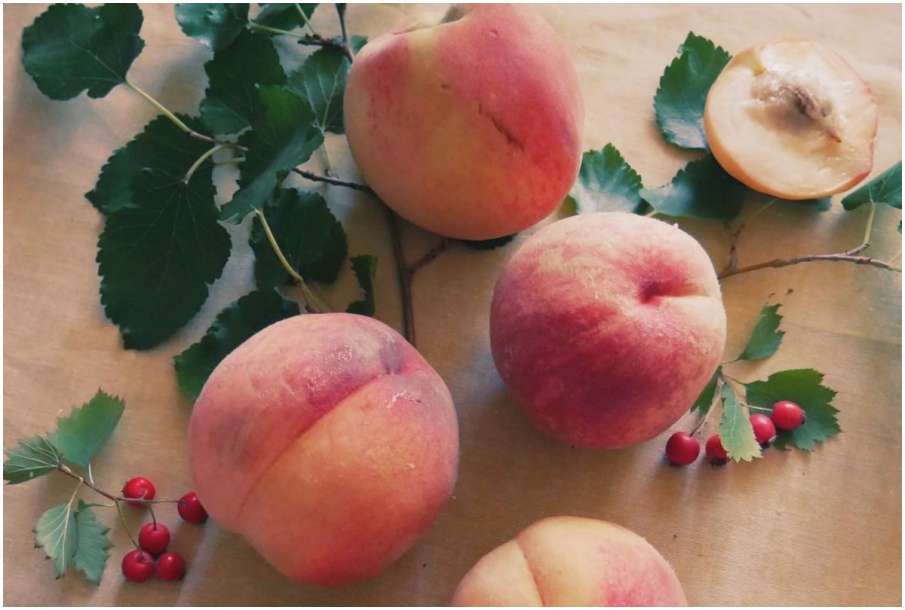 Summer fruit Peach Summer fruit Peach- India TV Hindi