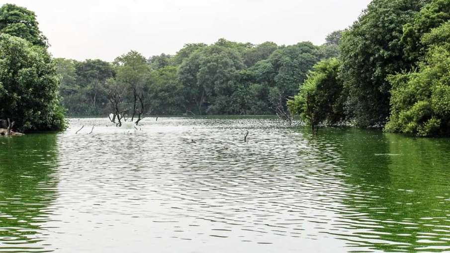Bihar Woman Kills Daughters, Bihar Woman Daughters Pond, Bihar Daughters Pond Dead Bihar Woman Kills Daughters, Bihar Woman Daughters Pond, Bihar Daughters Pond Dead- India TV Hindi