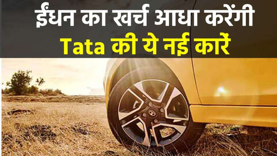 आधी कीमत में भरवाएं... आधी कीमत में भरवाएं...- India TV Paisa