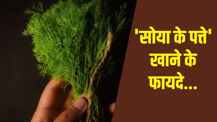 soya leaves soya leaves - India TV Hindi