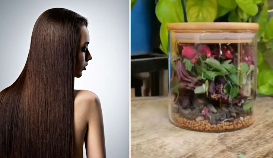 लंबे-घने बालों के लिए सप्ताह में एक बार लगाएं ये हेयर मास्क, हमेशा रहेंगे काले बाल लंबे-घने बालों के लिए सप्ताह में एक बार लगाएं ये हेयर मास्क, हमेशा रहेंगे काले बाल- India TV Hindi
