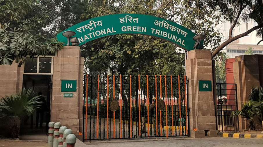 NGT ने पेठा उद्योग के खिलाफ कार्रवाई नहीं करने पर UPPCB को फटकार लगाई NGT ने पेठा उद्योग के खिलाफ कार्रवाई नहीं करने पर UPPCB को फटकार लगाई- India TV Paisa