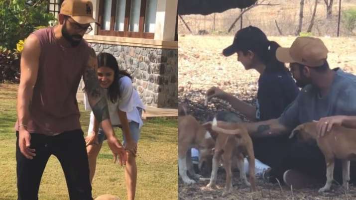 I admire Anushka's dedication towards animal welfare: Virat Kohli I admire Anushka's dedication towards animal welfare: Virat Kohli- India TV Hindi