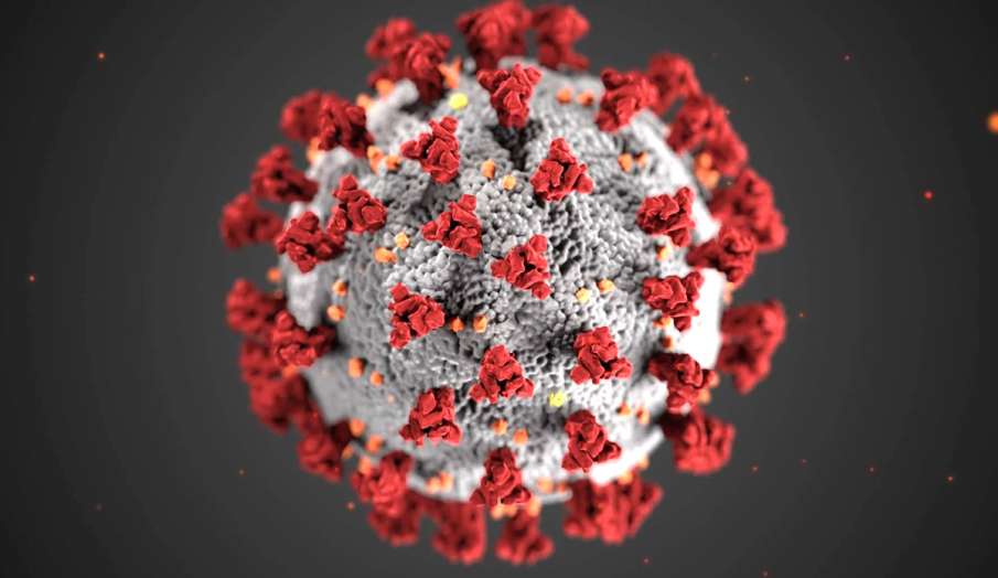 vitamin D in the body can prevent coronavirus serious infection latest news in hindi vitamin D in the body can prevent coronavirus serious infection latest news in hindi - India TV Hindi