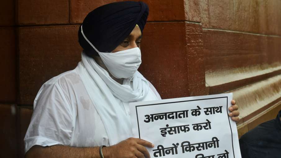 SAD President Sukhbir Singh Badal SAD President Sukhbir Singh Badal- India TV Hindi