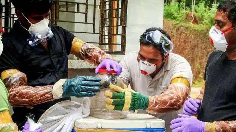 Nipah Virus, Nipah Virus Kerala, Nipah Virus Tamil Nadu, Nipah Virus Monitoring Kerala Tamil Nadu Nipah Virus, Nipah Virus Kerala, Nipah Virus Tamil Nadu, Nipah Virus Monitoring Kerala Tamil Nadu- India TV Hindi