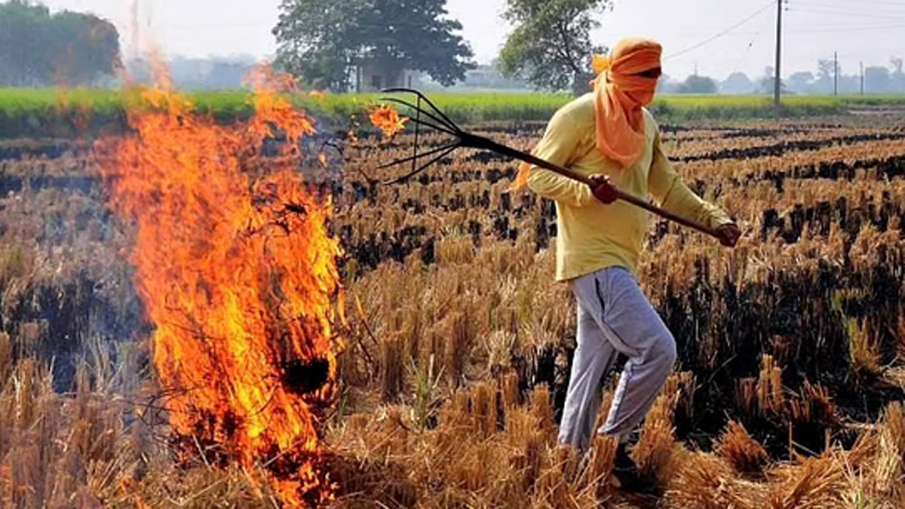 Stubble Burning, Stubble Burning Farmers, Stubble Burning Yogi Government Stubble Burning, Stubble Burning Farmers, Stubble Burning Yogi Government- India TV Hindi