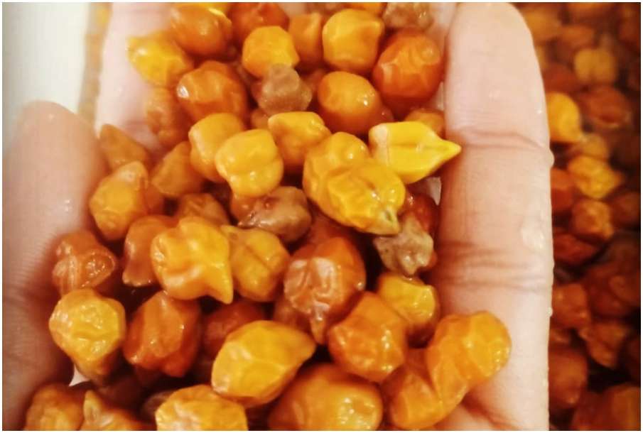 soaked gram soaked gram - India TV Hindi
