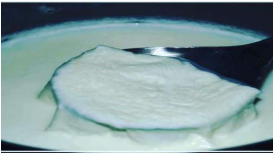milk cream milk cream- India TV Hindi