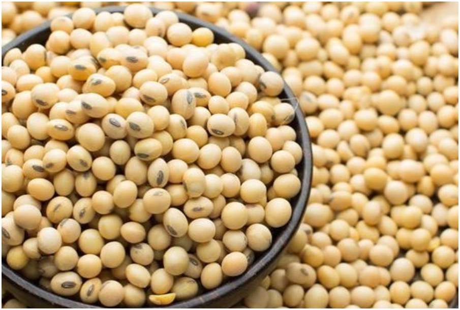 Soyabean Soyabean- India TV Hindi