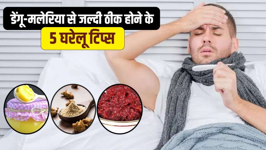 रुजुता दिवेकर से जानिए डेंगू-मलेरिया जल्द ठीक करने के 5 घरेलू टिप्स रुजुता दिवेकर से जानिए डेंगू-मलेरिया जल्द ठीक करने के 5 घरेलू टिप्स- India TV Hindi
