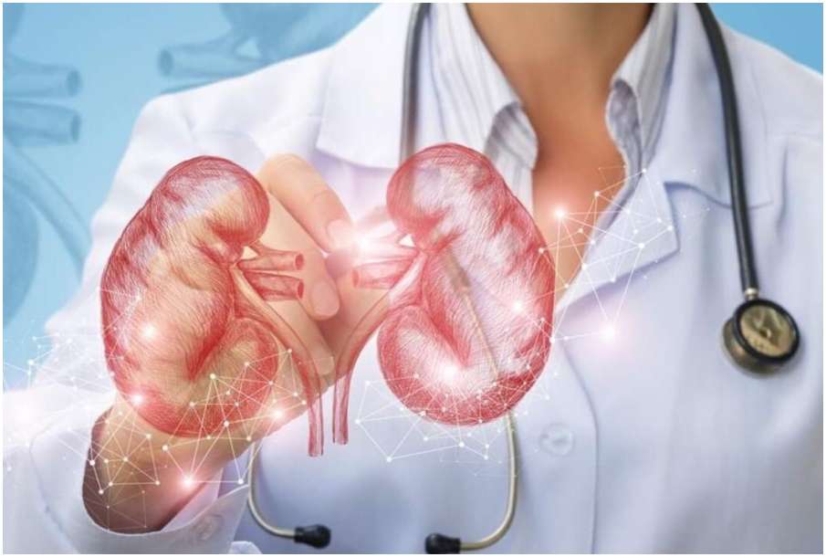 Kidney Kidney - India TV Hindi