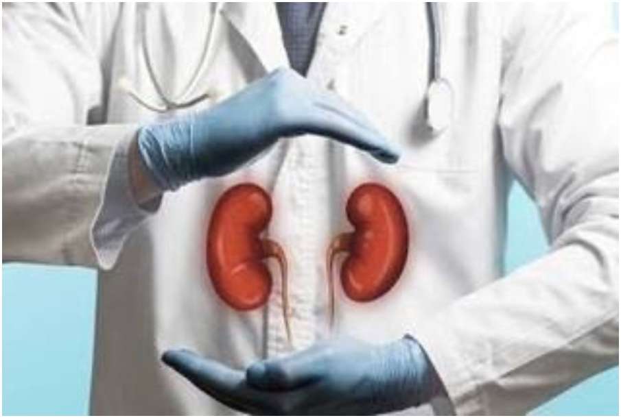 Kidney Kidney - India TV Hindi