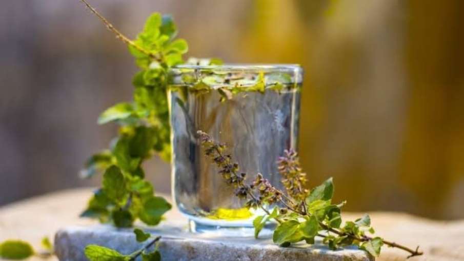 tulsi ajwain water tulsi ajwain water - India TV Hindi