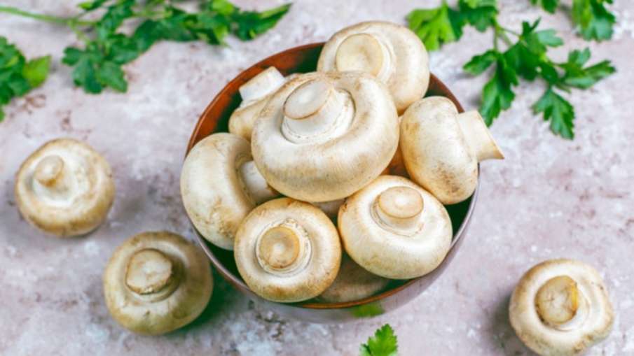 mushroom mushroom- India TV Hindi