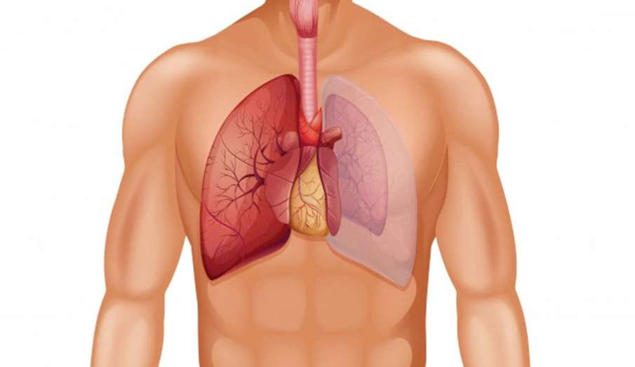 World Pneumonia Day World Pneumonia Day - India TV Hindi