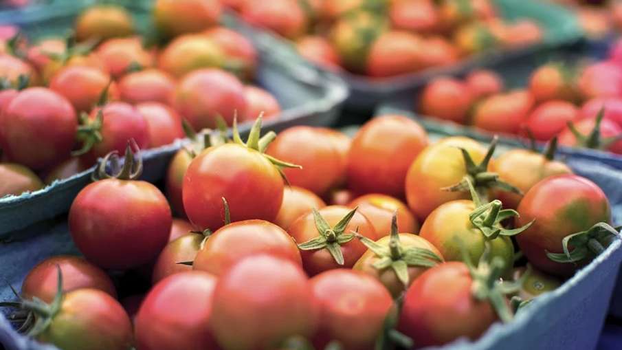 Tomato Prices, Tomato Prices Crisil, Tomato Prices 2 Months- India TV Hindi