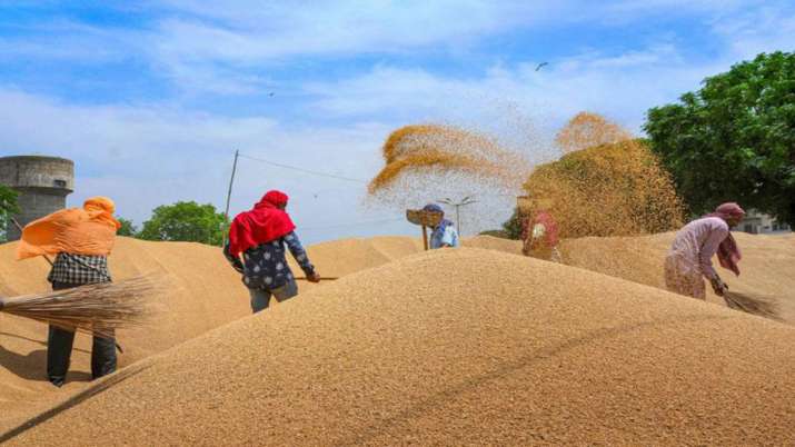 भारत को खाद्य भंडारण... भारत को खाद्य भंडारण...- India TV Paisa