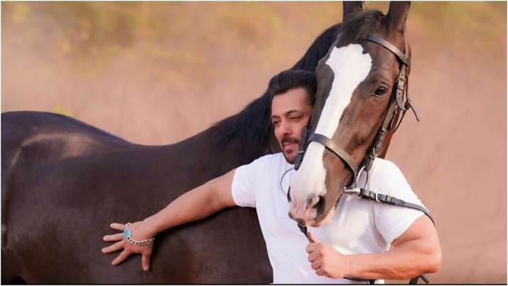 Salman Khan share a beautiful pic with his horse - India TV Hindi