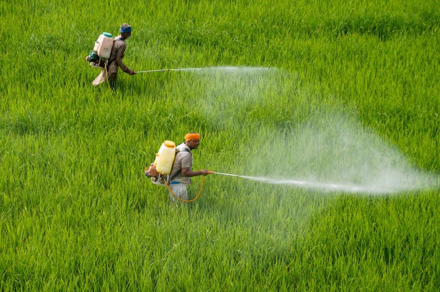 Relief for Farmers: करोड़ों किसानों के लिए सरकार ने लिया बड़ा फैसला, पीएंडके उर्वरकों के लिए मिलेगी 60,939 करोड़ रुपये की सब्सिडी Farmer Subsidy- India TV Paisa