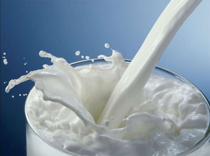 Milk- India TV Paisa