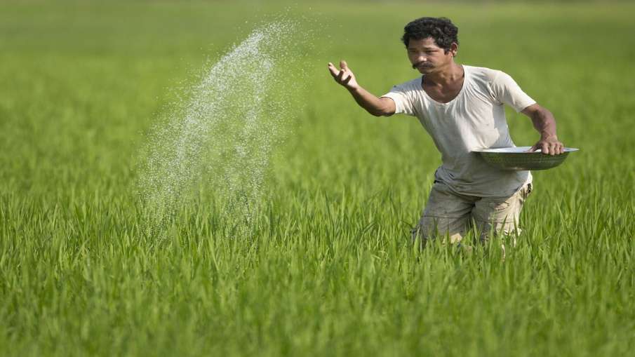 एक किसान  अपने खेतों में उर्वरक का छिड़काव करते हुए। - India TV Hindi
