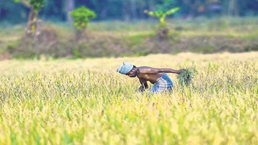 PM Kisan Samman Nidhi Yojana: 1.73 लाख से ज्यादा किसानों के खातों में नहीं पहुंची छठवीं किस्त, आप - India TV Hindi