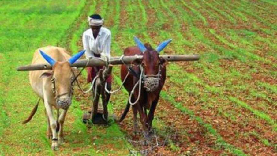 केंद्र ने धान की एमएसपी खरीद पर किसानों को दिए 1.23 लाख करोड़ रुपए, 94 लाख किसानों को हुआ लाभ- India TV Hindi