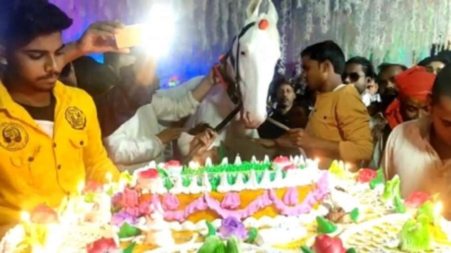 horse birthday celebreated in bihar cake cutting ceremony party घोड़े का मना जन्मदिन, मालिक ने 50 पा- India TV Hindi News
