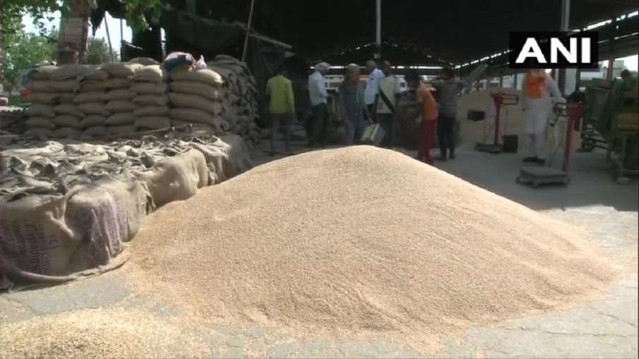 good news for farmers yogi government promises unlimited purchase of wheat at MSP किसानों को योगी सर- India TV Hindi News