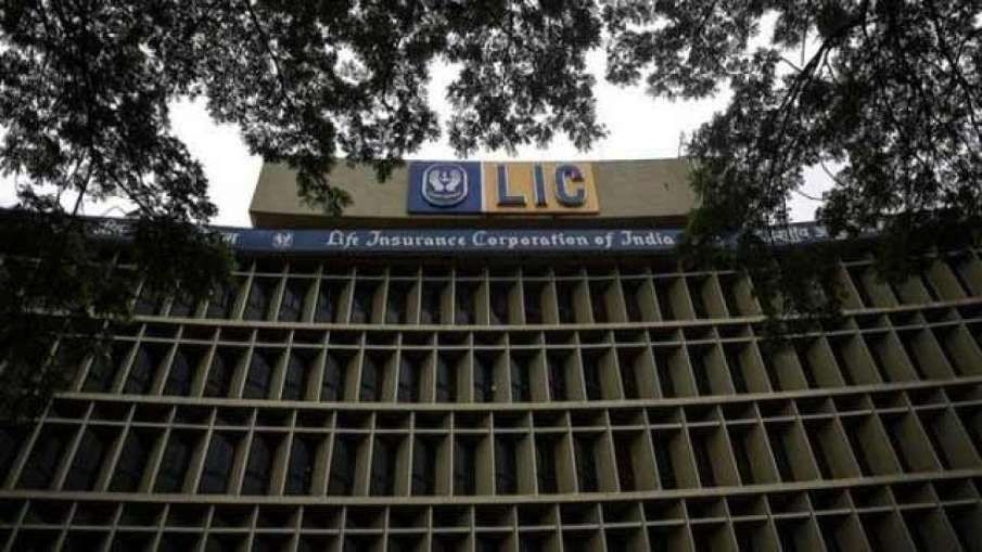 LIC to have five working days starting from May 10,Google to move to hybrid work week- India TV Hindi News