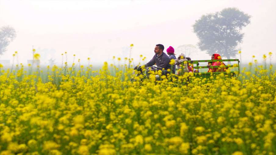 अयोग्य किसानों को...- India TV Hindi News
