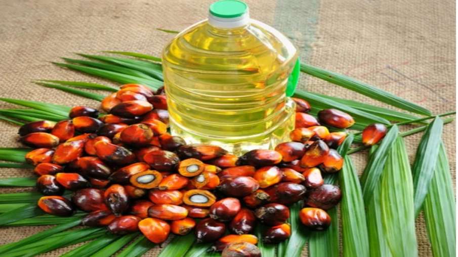 India's July palm oil imports dip over 43 pc to 4.65 lakh tonne- India TV Paisa