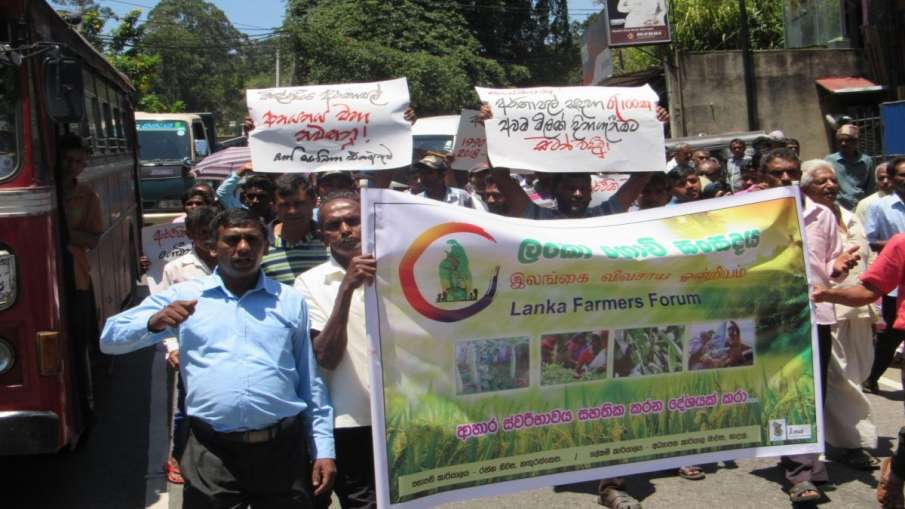 Sri Lanka partially lifts ban on chemical fertilisers; allows private sector to import it- India TV Hindi