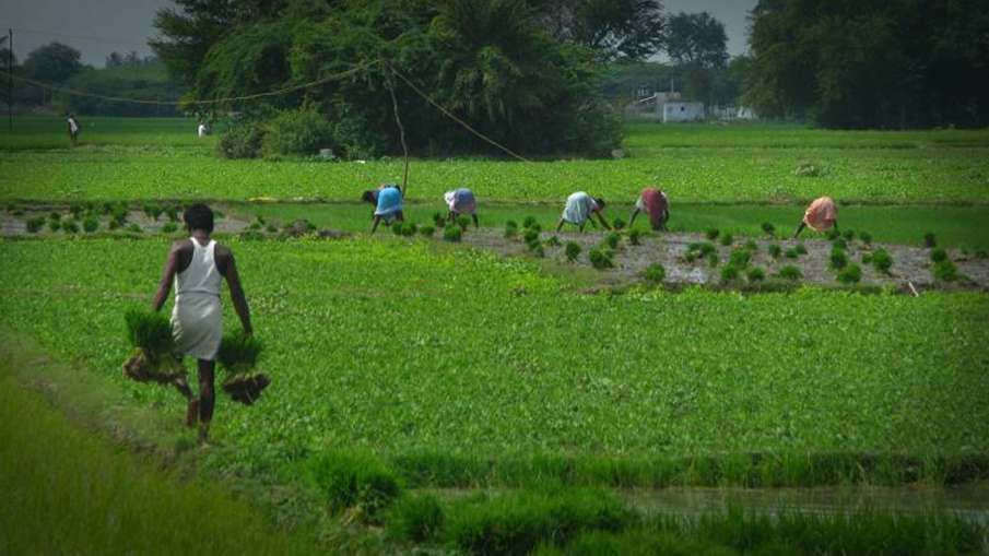 भारत ने सतत कृषि पर सीओपी26 के कार्य एजेंडा पर हस्ताक्षर किए- India TV Paisa