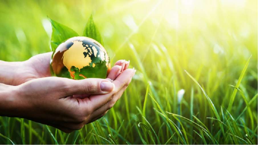 eco- India TV Paisa