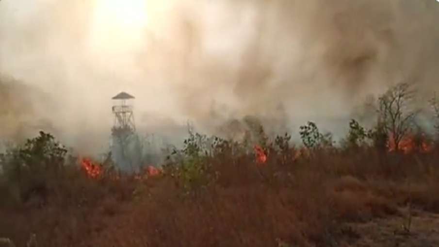 Fire In Nagpur- India TV Hindi