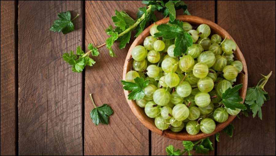 Amla- India TV Hindi News