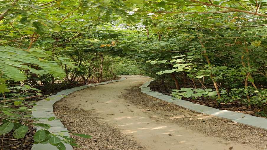 Oxygen Park- India TV Hindi News