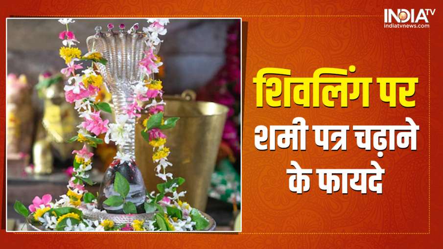 Offering Shami Patra on Shivling is very auspicious in Sawan - India TV Hindi News