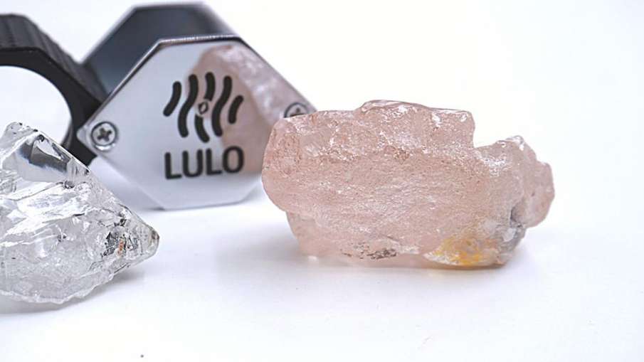 Pink Diamond, Pink Diamond Angola, Pink Diamond 300 Years, Pink Diamond Lucapa- India TV Hindi News