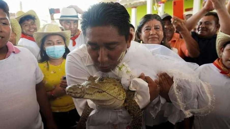 A man married a crocodile- India TV Hindi News