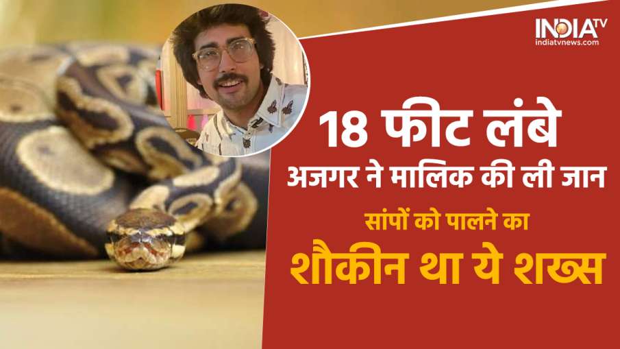 python caught the neck - India TV Hindi News