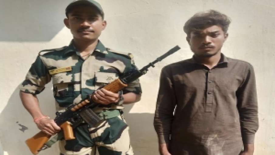 BSF nabs Pakistani infiltrator - India TV Hindi News