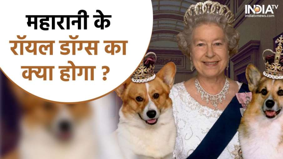Queen Elizabeth II- India TV Hindi News