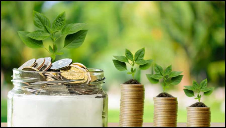 Money Plant Upay- India TV Hindi News
