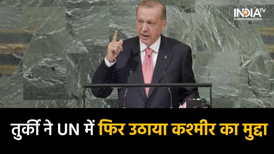 Turkey President Recep Tayyip Erdogan- India TV Hindi