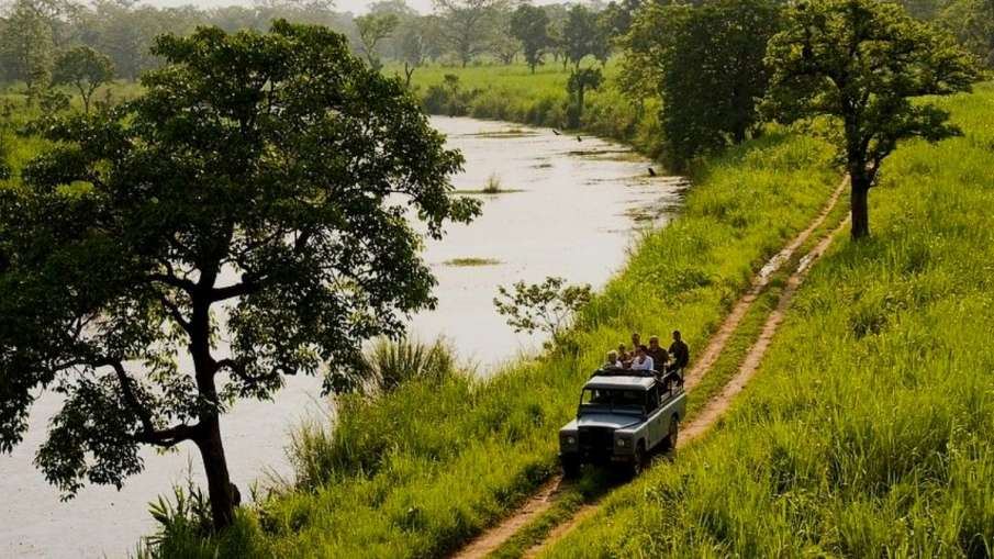 World largest jungle safari (representative image)- India TV Hindi News